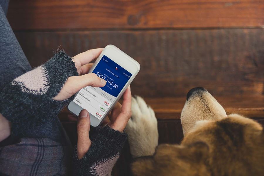 woman viewing phone while with dog